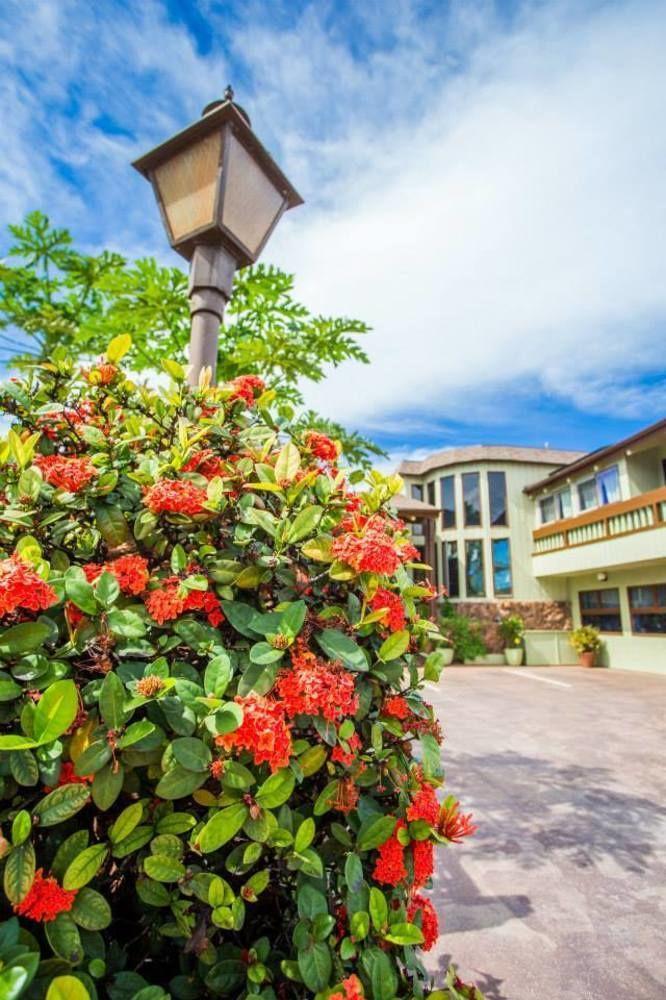 House Of Fountains Bed & Breakfast Lahaina Bagian luar foto