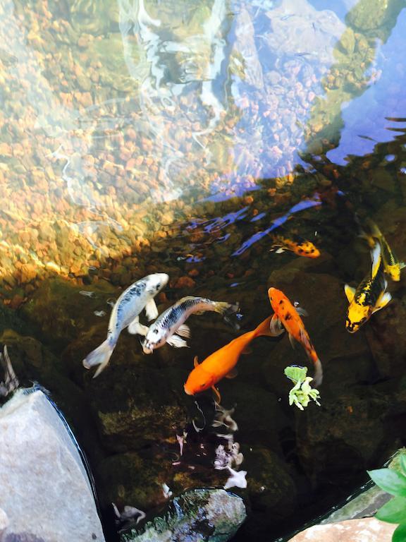 House Of Fountains Bed & Breakfast Lahaina Bagian luar foto